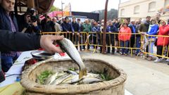 Festa da Troita de A Pontenova en el 2017