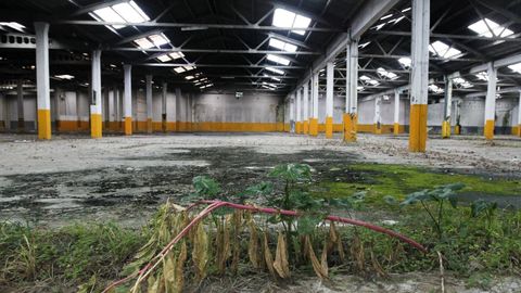 Nave abandonada en los terrenos que la antigua fábrica de Lantero ocupaba en Rosalía de Castro