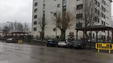La poda afecta a la avenida Condesa de Fenosa