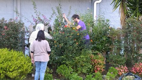 El jardn del IES Adormideras en el 2025, tras seis aos de trabajos.