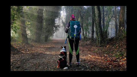 Imagen seleccionada en un bosque de Sarria