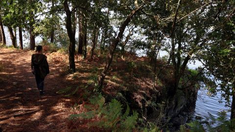 Vista de la senda litoral de Taragoña en Rianxo.