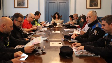 La subdelegada del gobierno en Lugo, Olimpia L&oacute;pez, coordin&oacute; la junta de seguridad.