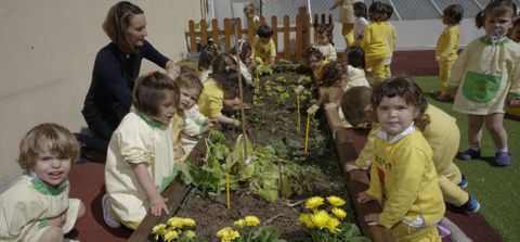 Los peque�os han plantado en su huerto fresas, lechugas, cebollas, pimientos o patatas. 