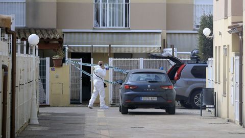 La mujer, de 35 aos, fue asesinada en su domicilio en la localidad castellonense de Almazora