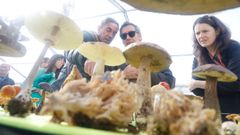 Setas en la Feira de Fungos e Cogomelos de As Pontes, en una imagen de archivo