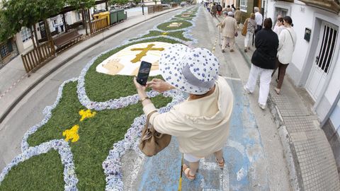 Alfombras Florales de Ares