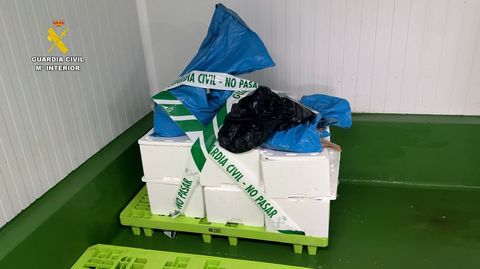 Mercanc�a incautada en el puerto de Bueu y depositada bajo custodia en la lonja por la Guardia Civil