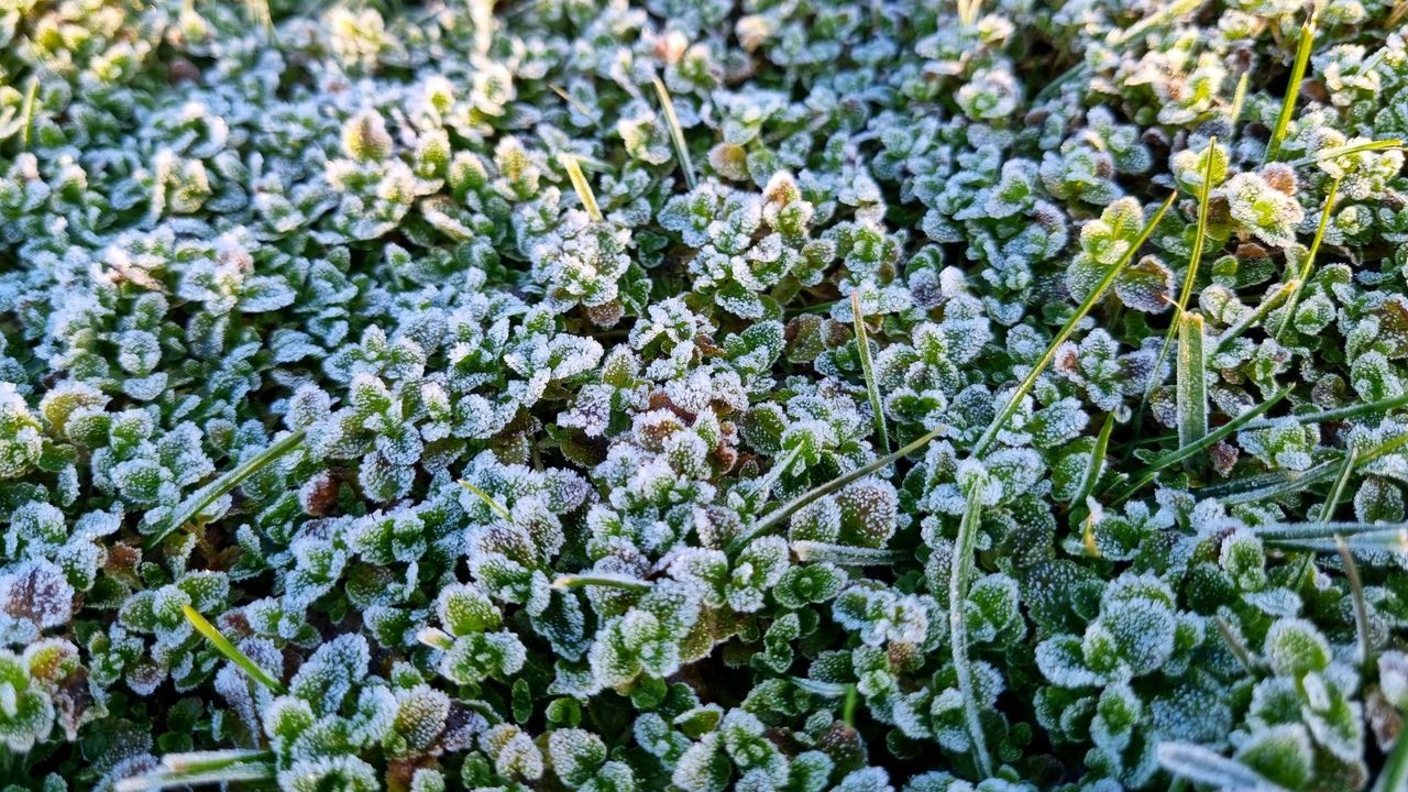 Galicia registra la primera temperatura bajo cero desde el comienzo del verano