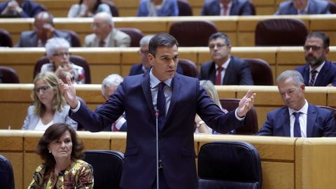 Pedro S�nchez en el Senado