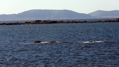 Lira, ejemplo de carta bien hecha. Una de las cartas náuticas más elaboradas, asegura Xosé Lois Vilar, es la de esta zona del litoral del concello de Carnota. «É unha preciosidade», opina. No ocurre lo mismo en la mayoría de mapas topográficos que fue consultando. «Ou faltan case todos os nomes, ou os cambiaron de sitio ou os escribiron mal. Pasa, por exemplo, con A Chadiza, que figura coma El Halladizo, na costa do Val Miñor»