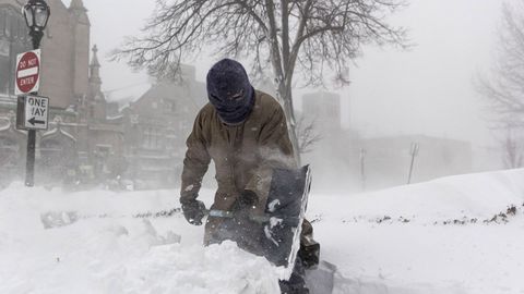 B�falo amanece sepultada bajo la nieve tras el paso de una fort�sima ventisca
