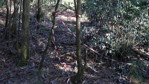 Chequeo en el entorno de la Capilla de San Ram�n de Bealo