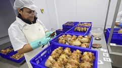 Una trabajadora procesando vieira en las instalaciones de Artesa, en el polgono de Barro.