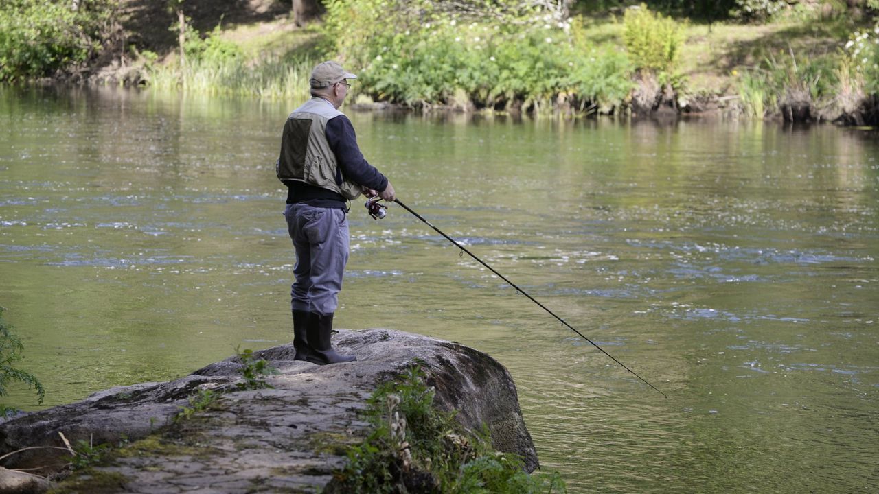 Autorizan el concurso de pesca del salmón en el Ulla en cuatro cotos