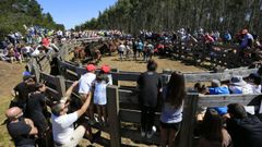 Rapa celebrada en el 2022 en la parroquia friolense de Carballo.