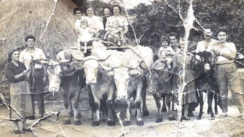 Mujeres, vacas y un pajar. 