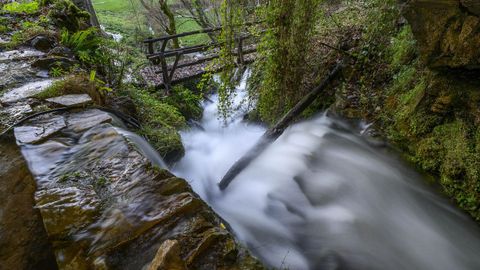 Un impetuoso arroyo brota de la boca de la cueva de Santalla de Abaixo 