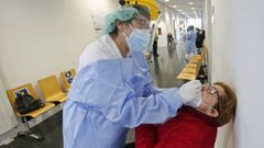 Cribado en Vilalonga, Sanxenxo