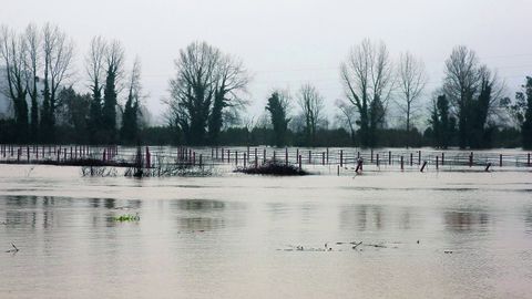 Una subida del ro Naln con motivo de uno de los temporales que vivi Asturias en 2019