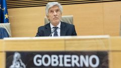 El ministro del Interior, Fernando Grande-Marlaska, durante su comparecencia en el Congreso el pasado viernes