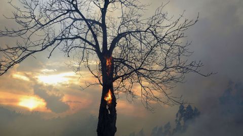 Siguen los incendios en Cantabria. 