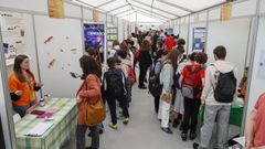 Las imágenes de la fiesta de la ciencia en la Tecnópole