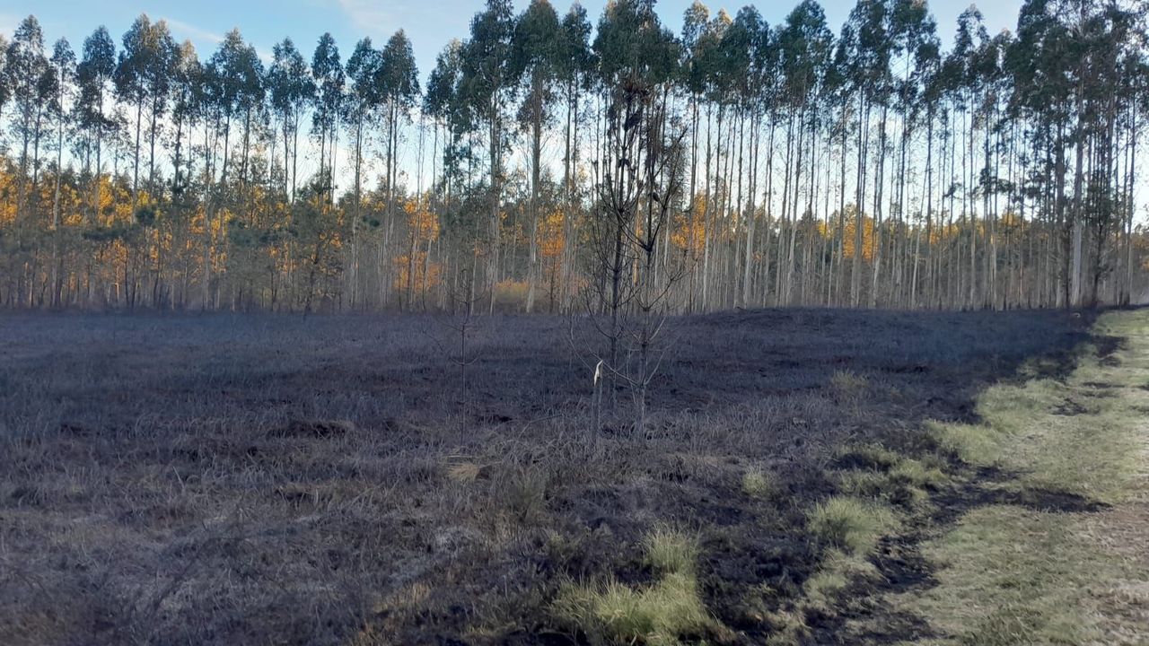 Solo Lalín, A Estrada y Silleda tendrán brigadas contraincendios