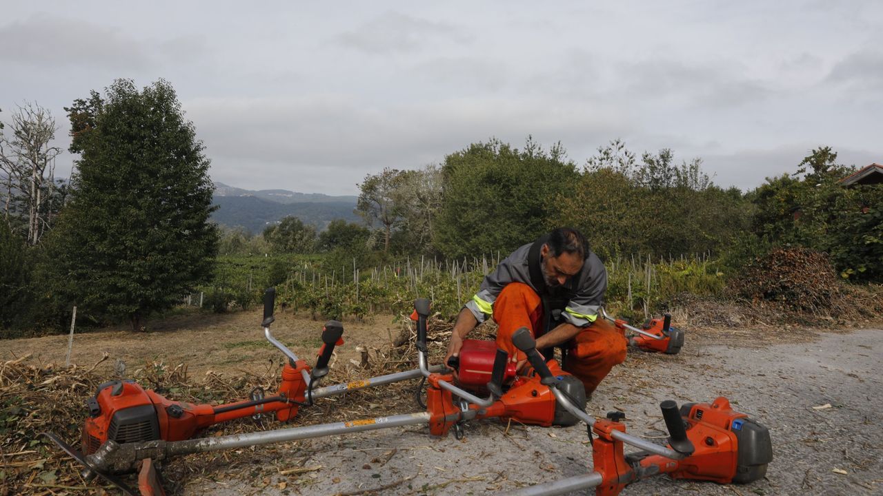 Nuevas fórmulas para acceder a la tierra: de aldeas modelo a cooperativas de explotación comunitaria