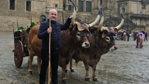 Mario Nogueira, con sus bueyes, en el Obradoiro