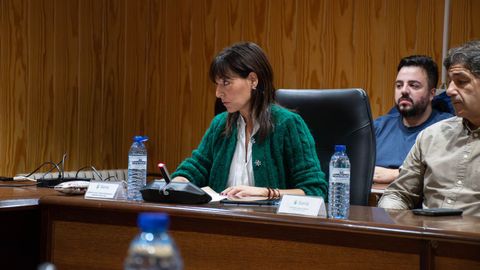 Carmen Jos Lpez, portavoz do PP local