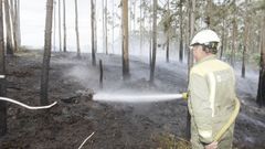 Incendio forestal registrado en la parroquia de San Marti�o en 2014