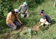 Muchos de los voluntarios que colaboran en la finca deciden ampliar sus estancias.