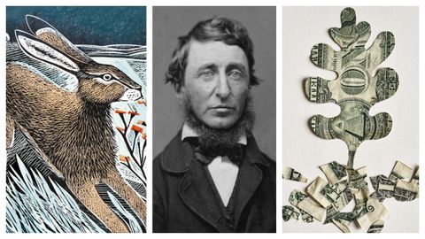 Retrato de Henry D. Thoreau realizado por el fotógrafo Benjamin D. Maxham en torno a 1856. A su izquierda, detalle de la portada de «El gran invierno» (Errata Naturae); a la derecha, ilustración que adorna la edición de «Walden» del sello Alianza.