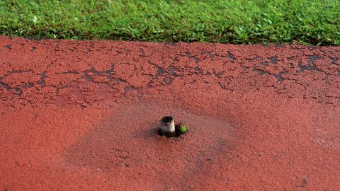 ABANDONO, DESPERFECTOS EN LA PISTA DE ATLETISMO DEL CAMPO MUNICIPAL DE A ALTA. POR LO QUE PERDIO LA HOMOLOGACION