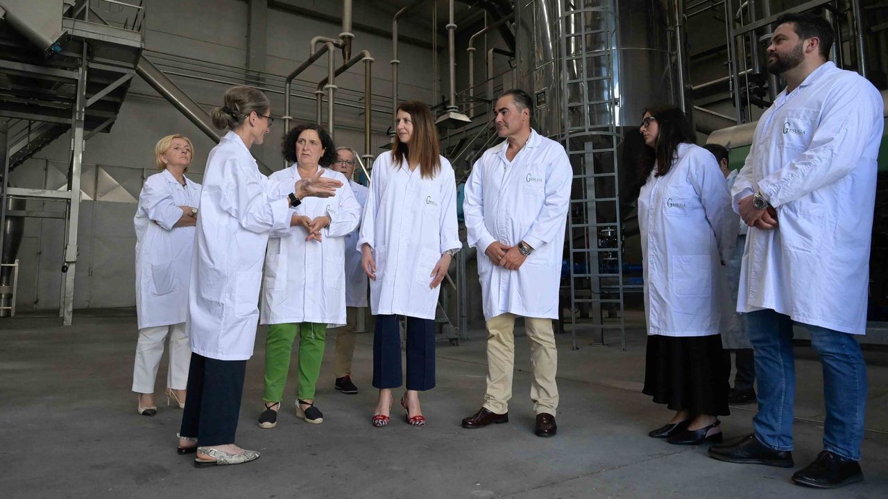 Un año transformador de Gesuga