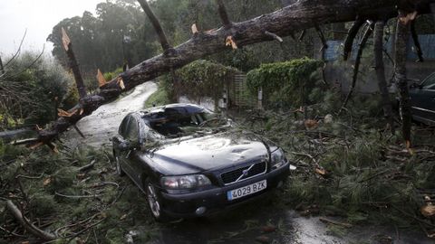 CONSECUENCIAS DEL TEMPORAL ANA: ARBOL QUE CAY SOBRE VARIOS COCHES EN LA RUA PEDREGAL EN ARTEIXO