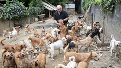 El Concello de Lugo asegura que actuar con responsabilidad para salvar la situacin de los perros y de Fernando Fornes