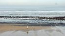 El carb�n vuelve�a la playa de San Lorenzo