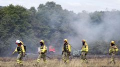 Un grupo de brigadistas durante la intervenci�n en un incendio
