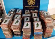 Los paquetes de coca�na llevaban sellos identificativos. 