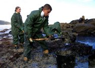 Un grupo de soldados, limpiando fuel en Malpica