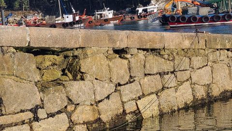 La cofrad�a pide que se mejore el estado de los muelles de la pen�nsula meca.