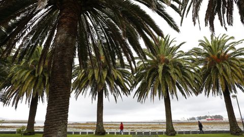 AUNQUE HAY QUI�N DICE QUE NO POR MUCHO TIEMPO