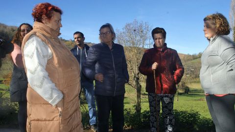 Vecinos de Tors aseguran que viven entre velutinas. En la imagen se divisan al fondo, sobre los rboles