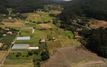 La finca (marr�n) a la izquierda de la pista, despu�s de los invernaderos. 