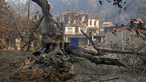 El día después de los incendios en San Vicente de Leira