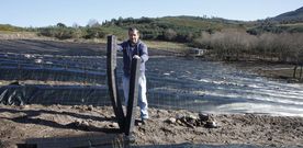 El agricultor Manuel Currs cuida el crecimiento de las primeras plantas de arndanos de su finca de 1,5 hectreas de Cotobade.