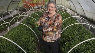 Luisa V&aacute;zquez muestra plantas de pimientos que vende en el mercado