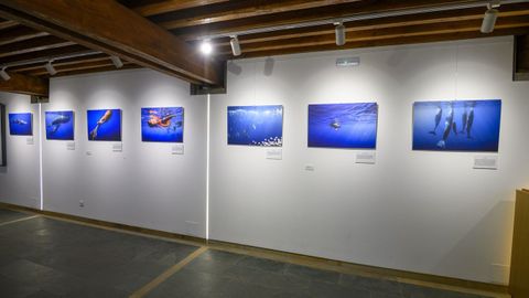 La exposici�n est� abierta en la Sala Xos� Vizoso en Sargadelos, en pleno conjunto hist�rico-art�stico